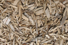 biomass boilers Lydiate Ash